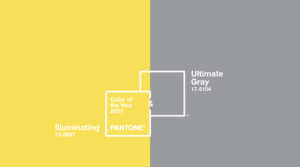 Pantone Color of the year